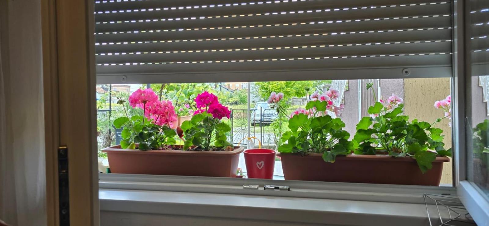 Apartman Tina Zagreb Extérieur photo